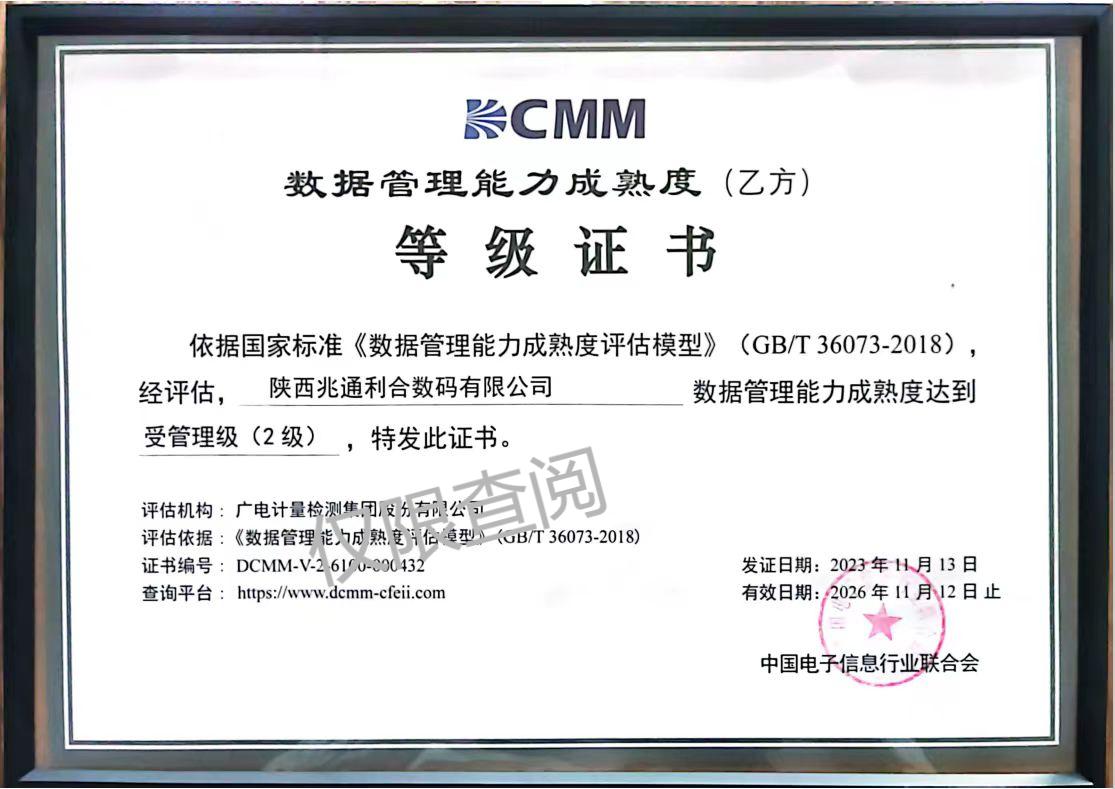 数据管理能力成熟度